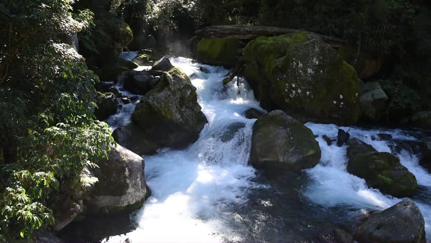 Waterfall in afternoon sunlight in Milford Sound (NZ)