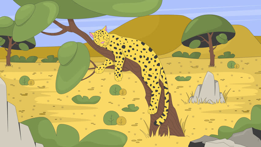 Sleeping leopard on tree in african savanna 2D cartoon animation. Wild cat cheetah resting. Safari animal nap. Wildlife predator habitat animated flat character 4K video background scene storytelling