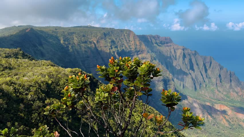 Experience the iconic Na Pali Coast of Kauai, Hawaii, with golden light illuminating its rugged cliffs, showcasing the breathtaking beauty of this tropical paradise.
