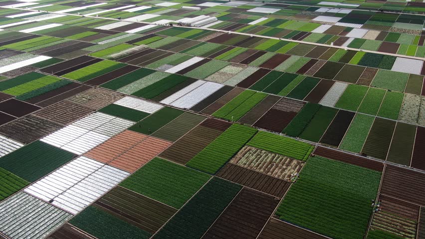 Stunning aerial view of Yunnan farmland showcasing vibrant natural patterns