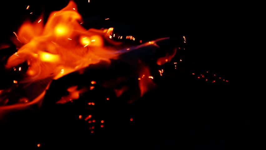 Slow motion of open book burning in fire, fire flame, burning old paper on ground on dark background