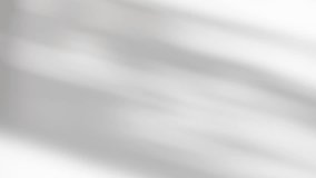 Grey and white smooth bokeh abstract background, blurred leaves shadows motion. HD footage - Powered by Shutterstock - Get 15% off with code: PIKWIZARD15