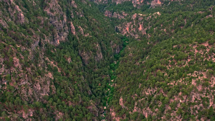 Aerial View of Forested Mountain Canyon with Steep Rocky Slopes