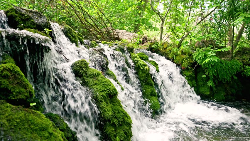 "Natural Forest Scene with Flowing Creek and Moss-Covered Boulders"
