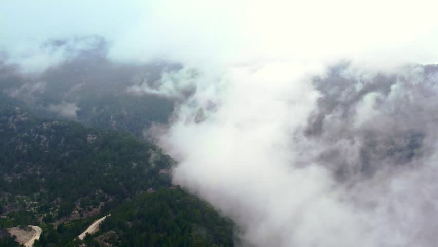 "Aerial Landscape of Forested Mountain Ridge with Cloud Cover"
