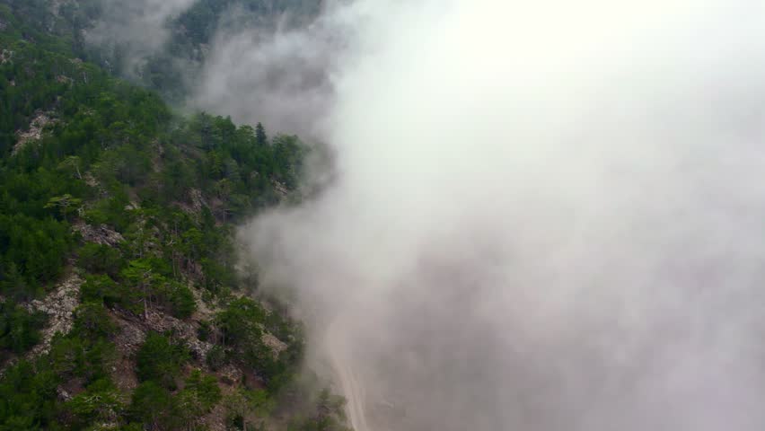"Aerial Landscape of Forested Mountain Ridge with Cloud Cover"