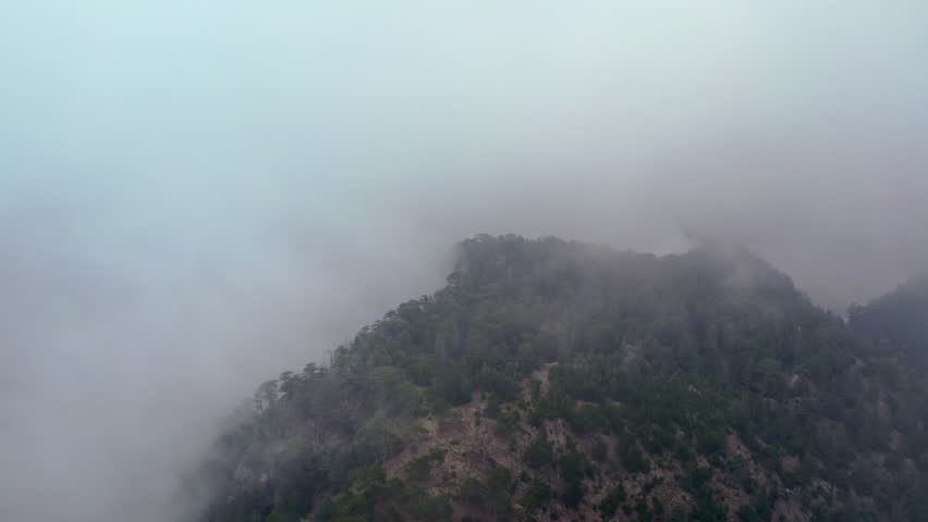 "Drone View of Mountain Ridge Covered with Dense Pine Forest and Low-Hanging Clouds"

