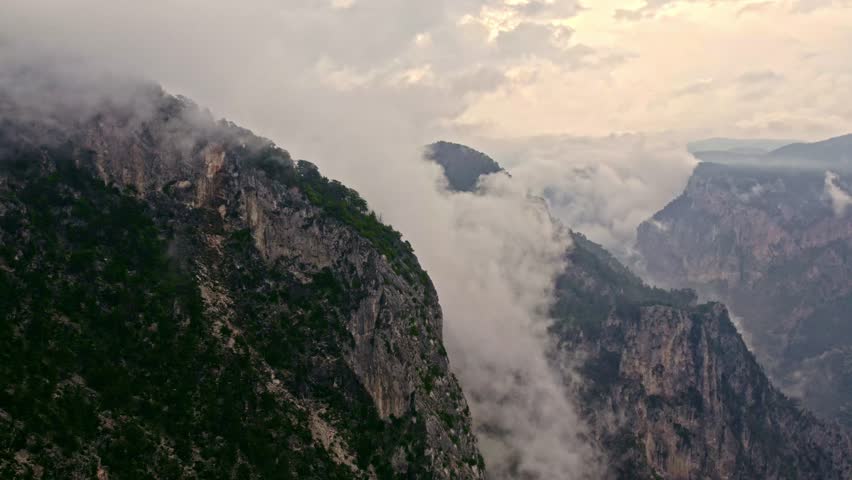 "Drone View of Mountain Ridge Covered with Dense Pine Forest and Low-Hanging Clouds"

