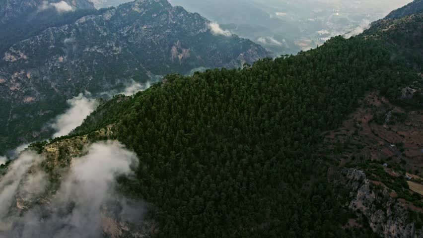 "Drone Shot of Pine-Covered Mountain Range with Low-Altitude Clouds"