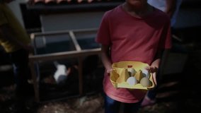 Children gathering fresh organic eggs from wooden chicken coop, experiencing sustainable living and connecting with farmyard animals - Powered by Shutterstock - Get 15% off with code: PIKWIZARD15