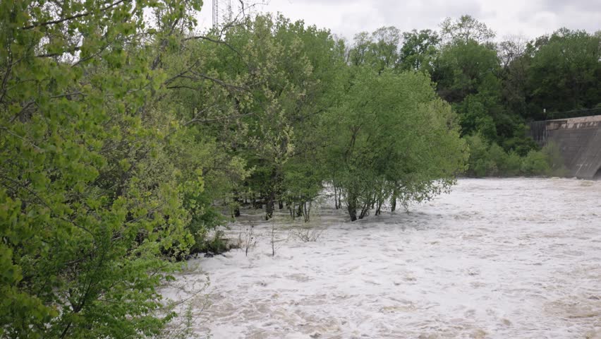 Flooding water current in river stream after heavy rainstorm and rain fall puts trees, forest, woods, and vegetation under stormwater and waves crash against buried tree branches during natural flood