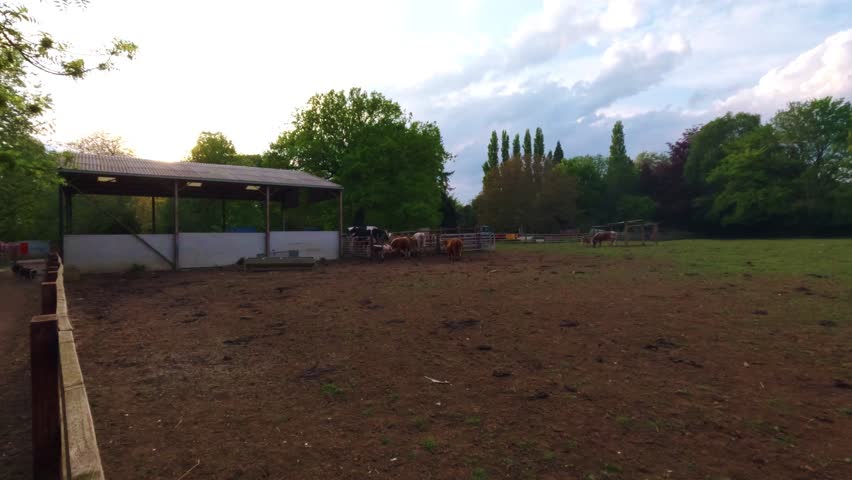 Evening sunset in Spring over rural farm yard livestock England UK