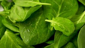 Fresh spinach green leaves close up. Healthy food. Salad leaves - Powered by Shutterstock - Get 15% off with code: PIKWIZARD15