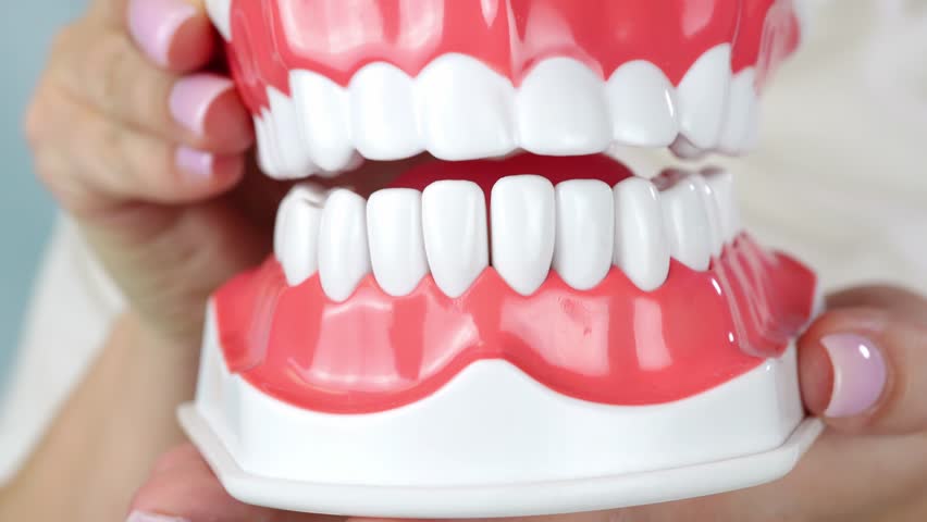 Artificial teeth model demonstration: jaw movement and denture details in three frames