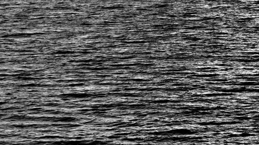 Black-and-white waves move across the surface of the water, illustrating the dynamic forces of nature and the constant motion of the ocean, with each ripple adding to the symphony of nature.
