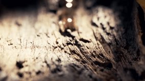 Macro slow motion shot of a resin drop slowly sliding down the textured interior of a tree trunk. Cinematic light enhances the natural detail, depth and earthy warmth. - Powered by Shutterstock - Get 15% off with code: PIKWIZARD15