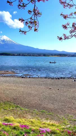 Kawaguchiko Lake with beautiful Mount Fuji during spring.	