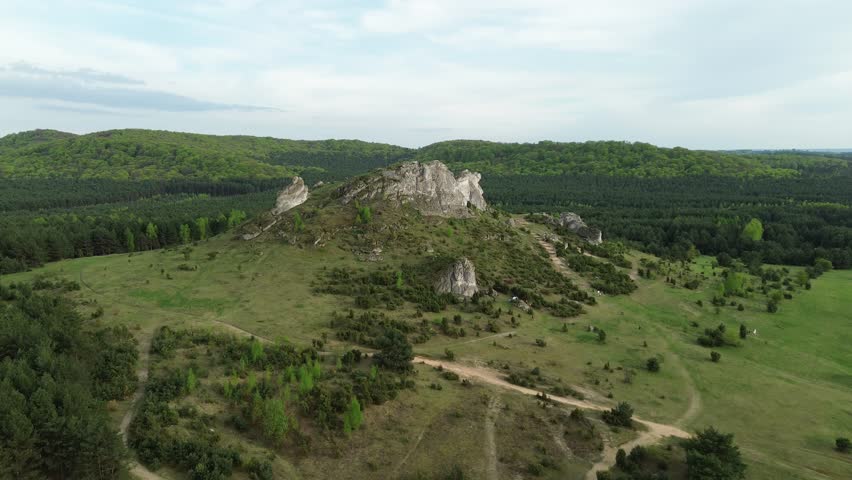Large rock formation surrounded by dense forest