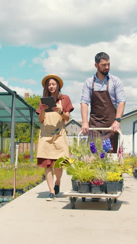 The plot is inspected by two gardeners, a man and a woman. Description of plants using a tablet and collection of plants and herbs from the site and their transportation