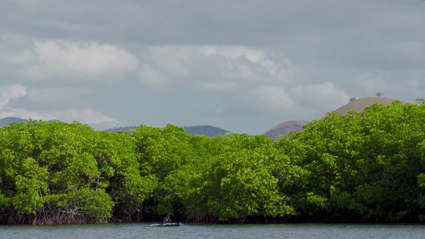 A local man paddles a small traditional banca boat along the edge of mangrove forest in Coron, Philippines.