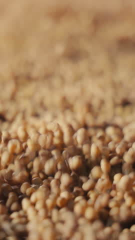 Vibration storage and cleaning of soybeans. Soybean storage on an industrial scale.