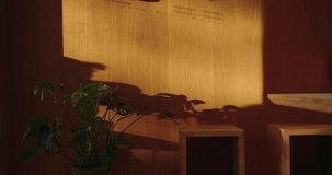 A serene indoor scene capturing the silhouette of houseplants cast by sunlight on a warm wooden panel. The interplay of shadows and botanical shapes creates a calming effect, ideal for interior spaces - Powered by Shutterstock - Get 15% off with code: PIKWIZARD15