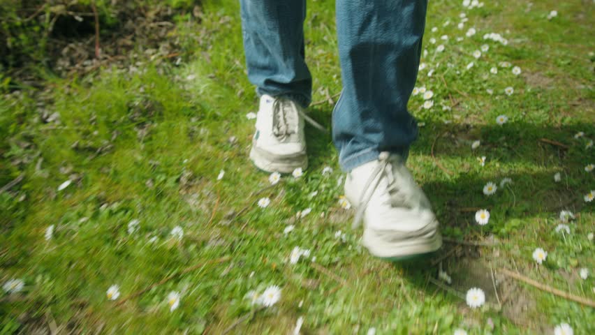 Man's feet step through grassy meadow with scattered white flowers, walking through nature, low angle walking