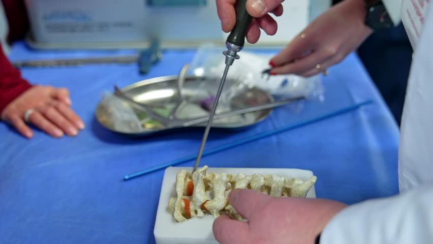 Male educator displays usage of the medical tool on the model of spine. Neurosurgery practice for students.