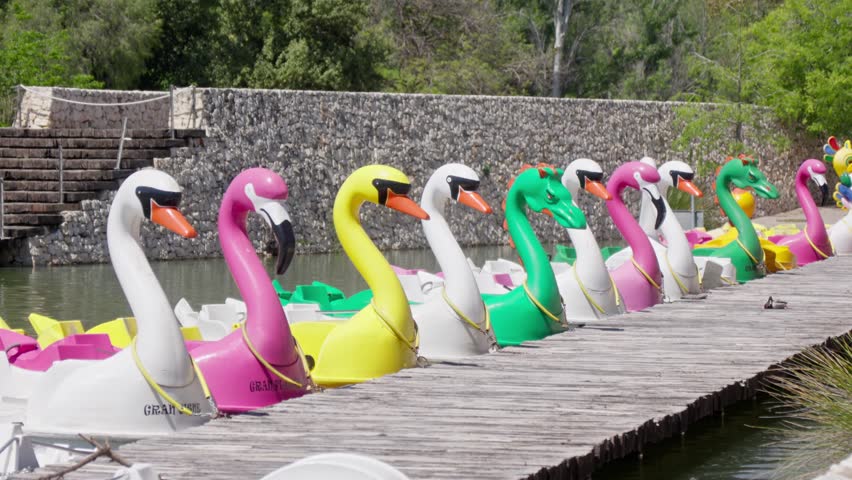 Colorful pedal swan boats lining a tranquil lake dock