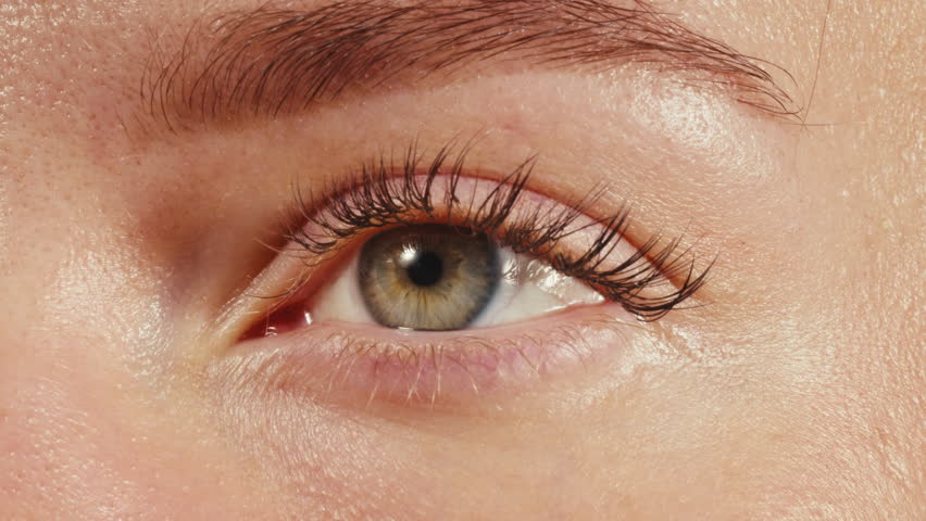 Close-up womans blinking eye with long eyelash and contact lens. Beauty make up of green eye with neon light.