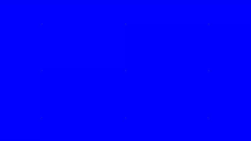 Shutterstock Video