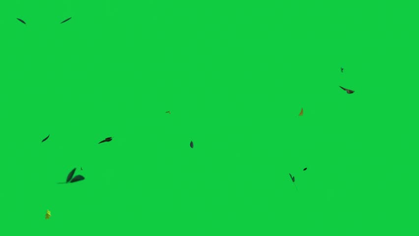 Falling Leaves Storm – Whirlwind of Autumn Foliage Loop – Green Screen Overlay