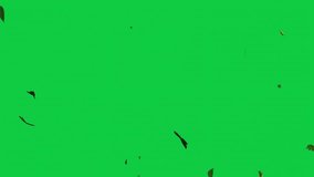 Falling Leaves Storm – Whirlwind of Autumn Foliage Loop – Green Screen Overlay - Powered by Shutterstock - Get 15% off with code: PIKWIZARD15