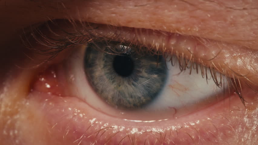 Man eye macro, Detailed closeup macro a human blue eye showcases its intricate characteristics. Ophthalmology clinic, vision.