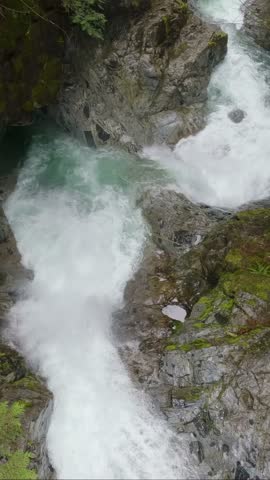 Rushing River Waterfalls and Rapids Through a Lush Green Forest in BC, Canada