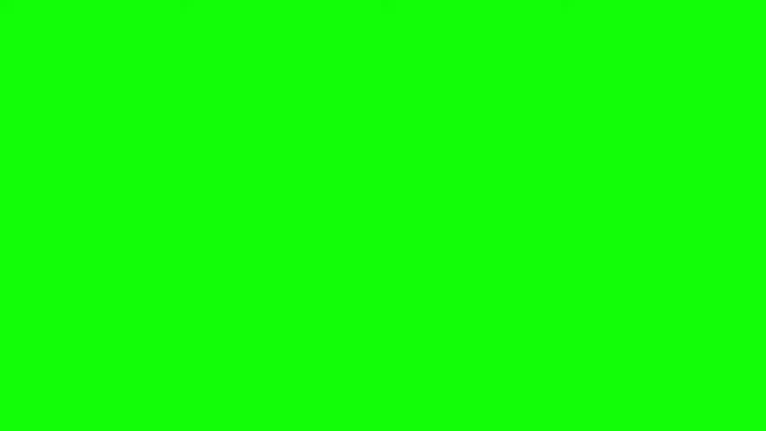 Shutterstock Video