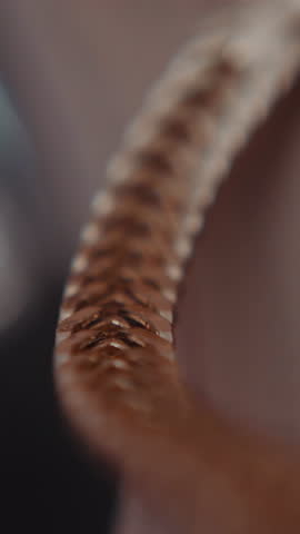Golden chain fastened to leather clothes item edge on defocused background macro view. Elegant fashionable accessory. Glamorous items for women