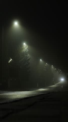 Quiet, foggy night road scene illuminated by faint streetlamps, vertical video.