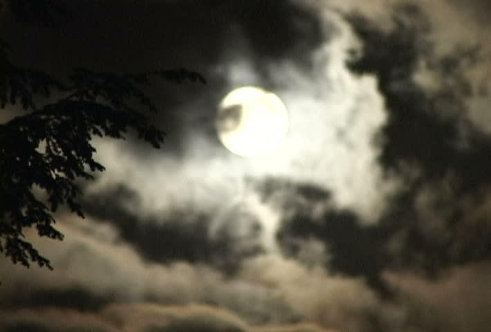 Full Moon with clouds over night skyline and tree in foreground.