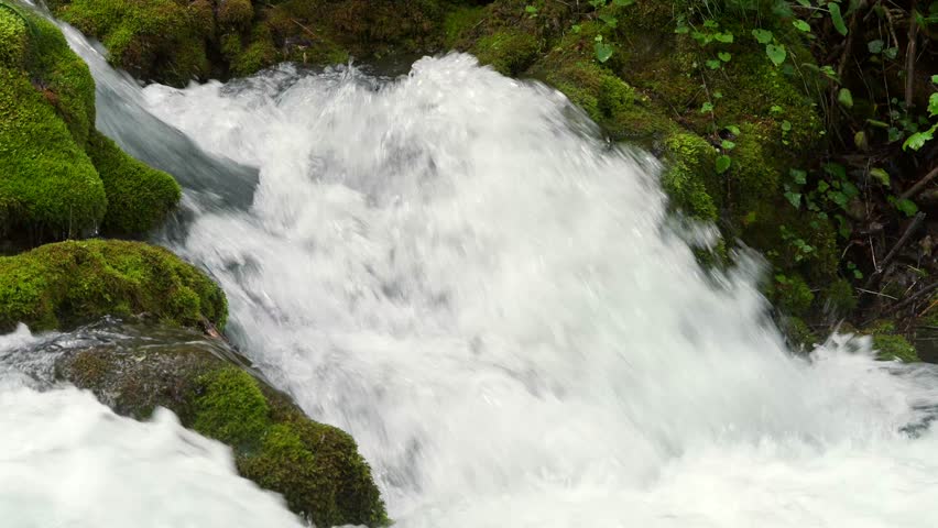 raging river in the forest, cinematic, 4k slow motion, forest moss on stones and leafy trees along the river
