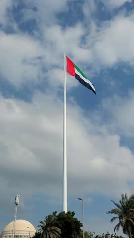 UAE flag waving in the cloudy sky between palm trees, national symbol of UAE. High quality 4k footage.