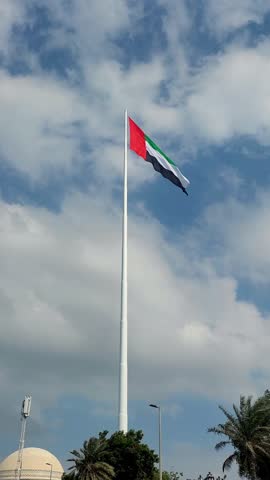 UAE flag waving in the cloudy sky between palm trees, national symbol of UAE. High quality 4k footage.