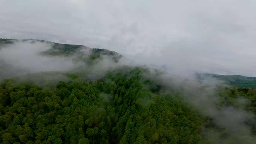 Aerial view of lush green forested mountains shrouded in mist and low-hanging clouds under a moody overcast sky, creating a serene and mysterious natural landscape.
