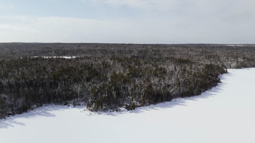 Drone footage of a spruce forest covered in snow during a calm winter sunset, with snowflakes falling softly, capturing the essence of Canadian wilderness. Canada Nova Scotia Halifax