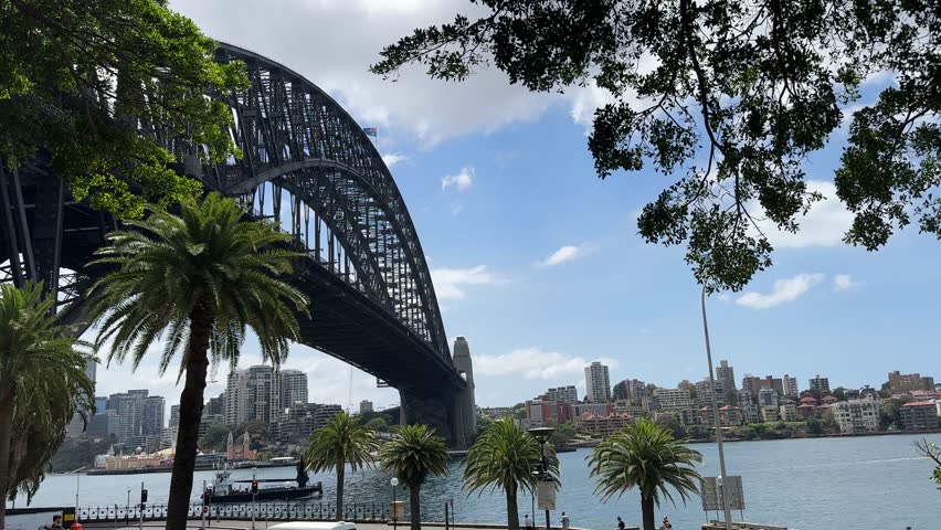Sydney , NSW , Australia - 02 27 2025: Sydney Harbour Bridge framed by palm trees across Port Jackson