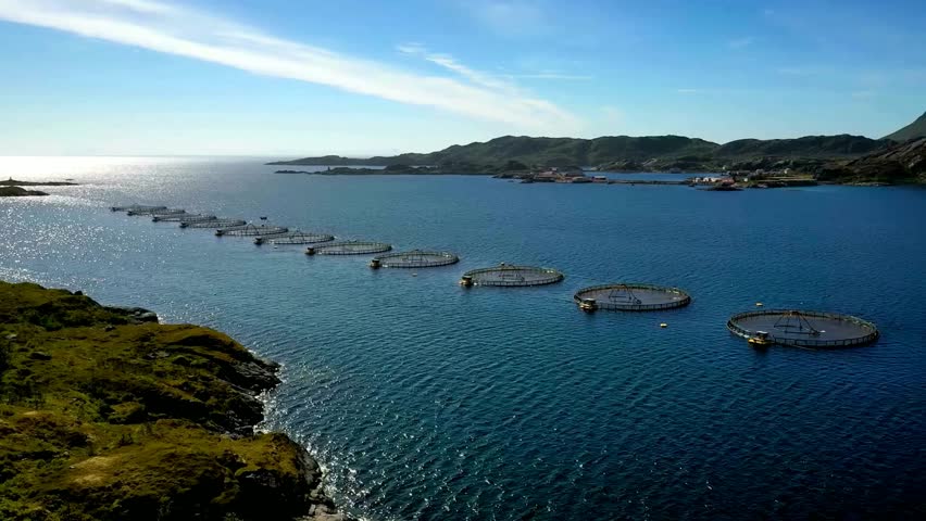 Coastal Aquaculture Farm, Ocean Fish Farming, Sustainable Seafood Production