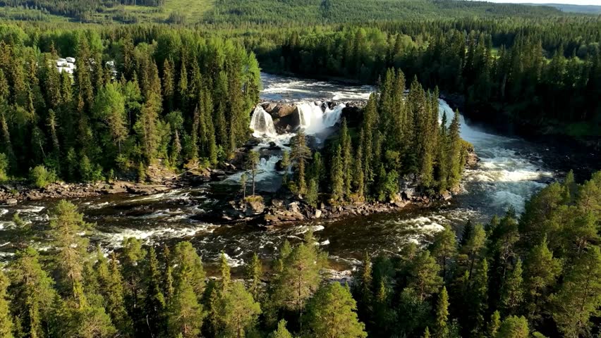 Aerial View of River Rapids Surrounded by Boreal Forest