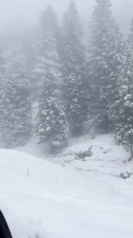 rare beauty around every corner