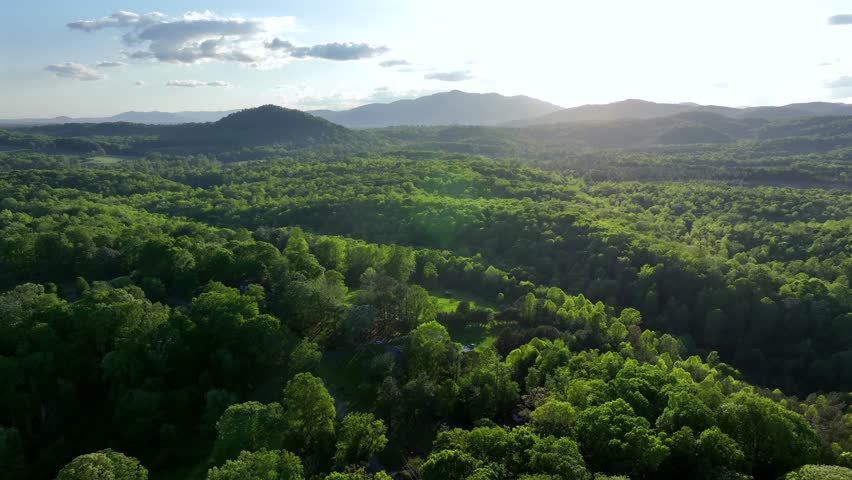 Lush green forest trees in picturesque landscape of USA. Sunset time behind mountains of Virginia. Housing area with homes between forestry. Aerial forward wide shot. Quiet serene atmosphere.