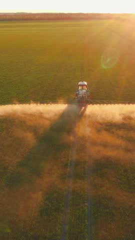 Farmer watering young growing plants on agricultural field, aerial view of tractor moving on farmland. Farming cereals and corn for food industry, beautiful landscape in countryside agribusiness